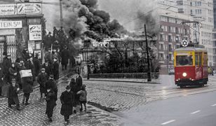 Eksperyment Muranów. Z korzeniami w gruzach i prochach wyrosło tu życie