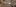 289230964616865850
