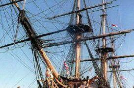 Dęby admirała Nelsona do odbudowy "Victory"