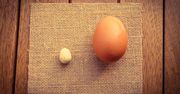 Duże i małe jajko