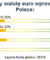 Internauci podzieleni ws. wprowadzania euro w Polsce