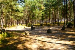Polskie Stonehenge - magia na wyciągnięcie ręki