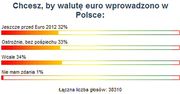 Internauci podzieleni ws. wprowadzania euro w Polsce