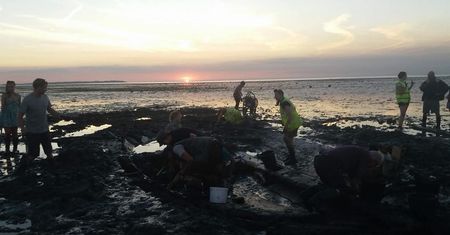 Niesamowite odkrycie na angielskiej plaży. Jedyny taki statek sprzed 500 lat