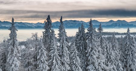 Śnieg w środku lata. Takie rzeczy tylko w Tatrach