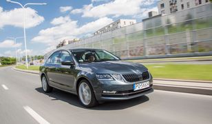 Skoda uruchomiła usługę wypożyczenia krótkoterminowego