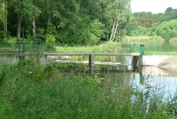 Pływał w stawie z 6-letnią córką i nagle zniknął pod wodą. Trwa akcja poszukiwawcza