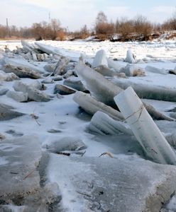 Odolanów: 11-latka postawiła na nogi służby. Przez godzinę przeszukiwano okoliczne stawy