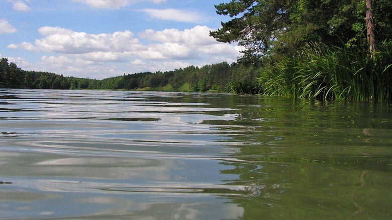 Jezioro Staw we wsi Płociczno-Tartak