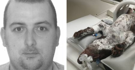 Pobił szczeniaka i zostawił w kałuży krwi. Jest list gończy