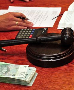 "Komornicze Allegro" jeszcze w tym roku. Serwis aukcyjny, jakiego jeszcze nie było