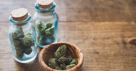 Kolejna plantacja konopi zlikwidowana
