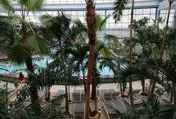 Park of Poland. Suntago Wodny Świat gotowy na przyjęcie pierwszych gości. Byliśmy w środku – robi wrażenie