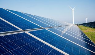 Tańszy prąd. Wystarczy złożyć wniosek przez internet