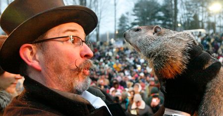 Prognoza świstaka