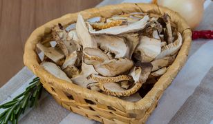 Grzyby shiitake - hit czy kit?
