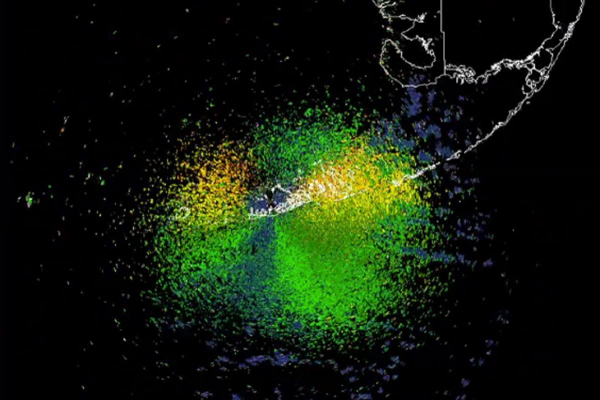 Radar zarejestrował migrację ptaków na Florydę