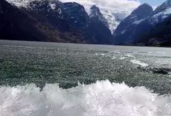 Zaskakujące ujęcia. Nagrała dowód na to, że zima już nie wróci