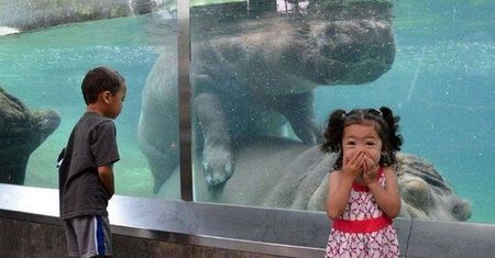Zabrali dzieci do zoo. Szybko pożałowali