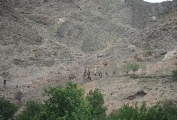 Pokazali światu skutki eksplozji "matki wszystkich bomb"