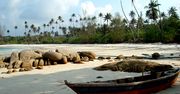 Batam i Bintan - wyspy, które już możesz odwiedzić. Odkryj te egzotyczne miejsca