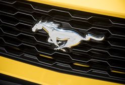 IX ogólnopolski zlot Mustangów - Otwock 2017