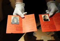 Lekcja historii online z Muzeum Powstania Warszawskiego. Oglądaj w WP