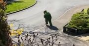 Koronawirus w Anglii: człowiek przebrany za krzak wymknął się z domu podczas kwarantanny