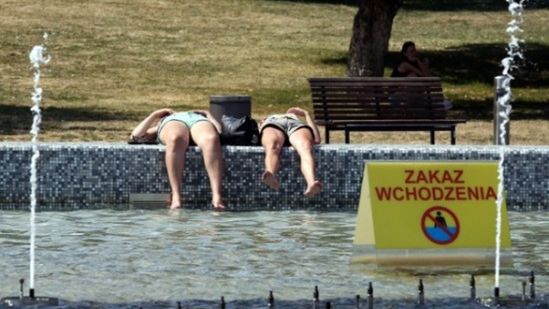 Wysokie temperatury to rozwój wielu groźnych chorób