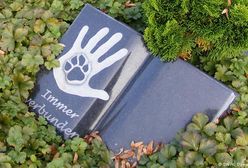 Na wieczny spoczynek z czworonogiem. Kontrowersyjny trend