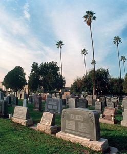 Szaleństwo na cmentarzu gwiazd. Ludzie masowo wykupują miejsca