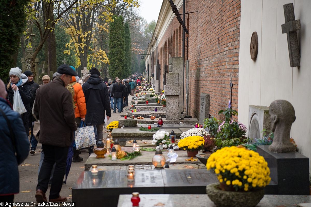 Wszystkich Świętych. Zobacz jak dojechać na cmentarz, gdzie zaparkować, objazdy