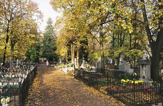 Cmentarz Bródnowski. Jak dojechać w czasie świąt
