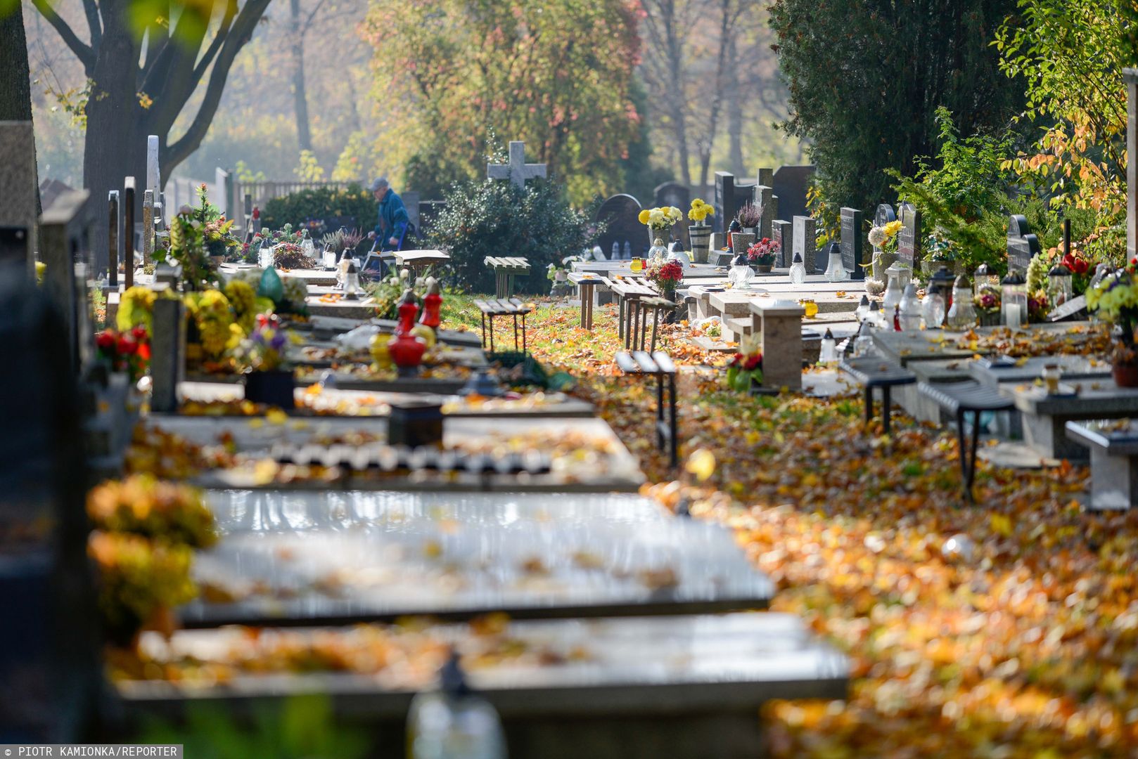 Ksiądz jezuita apeluje, by nie kupować w tym roku zbyt wielu zniczy na Wszystkich Świętych