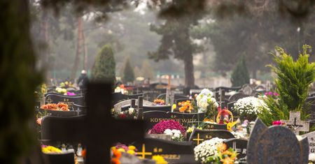 Burmistrz zarządził... zakaz umierania