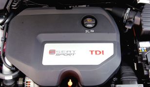 W jakich markach znajdziesz te popularne silniki Diesla?