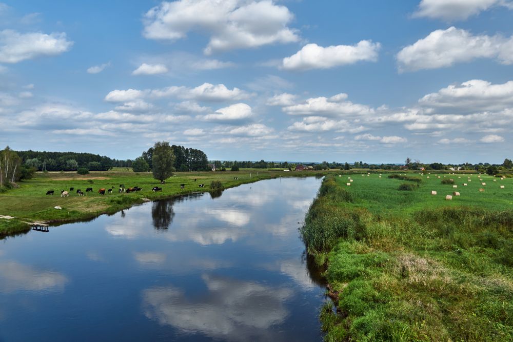 Rzeka Noteć jest drugą co do wielkości rzeką Wielkopolski