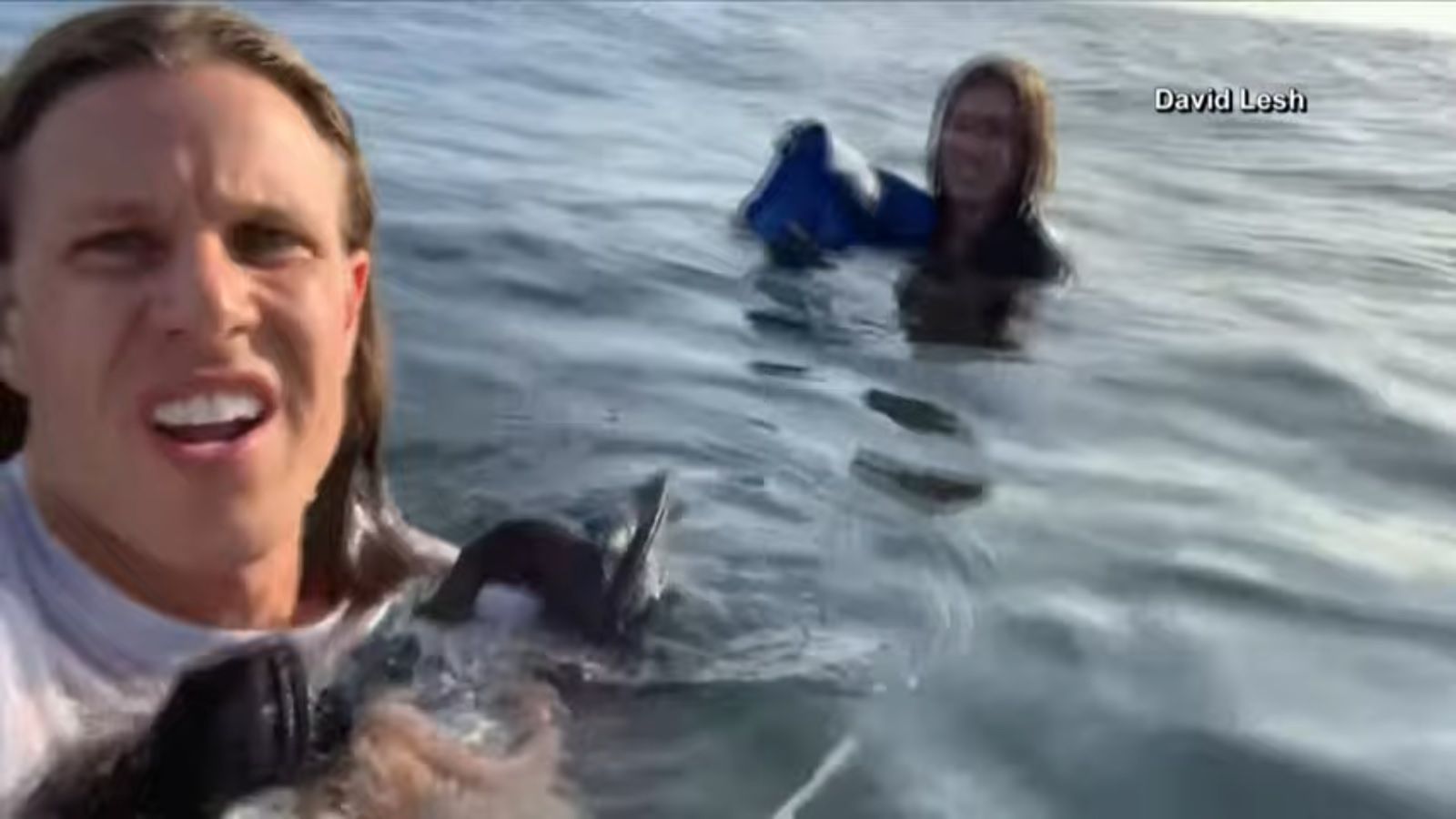 Katastrofa samolotu. Rozbitkowie nagrywali wideo i robili selfie [Zobacz wideo] 
