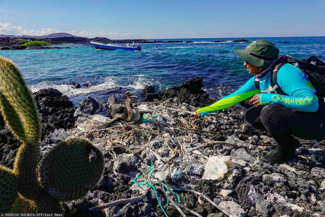 Ogroman ilość plastiku zginęła z oceanów. Naukowcy wiedzą, gdzie jest