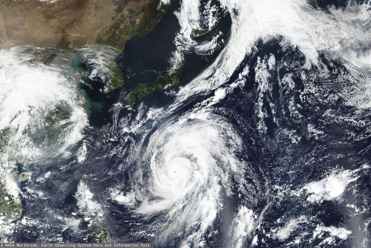 Tajfun Hagibis: Potężna burza odpowiednikiem huraganu 5 kategorii. Zmierza w kierunku Japonii. Czy  polscy siatkarze są bezpieczni?