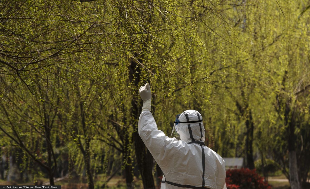 Koronawirus: Kiedy koniec. Eksperci mają odmienne opinie 