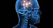 Udało się stworzyć implant mózgu. Poprawia pamięć i pomoże leczyć Alzheimera