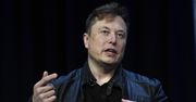 Elon Musk podpowiada jak leczyć koronawirusa. Powołuje się na najnowsze badania