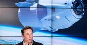 Elon Musk oferuje pracę. Szuka pomocy przy projektowaniu Starship
