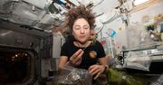 Astronauci hodują rośliny w kosmosie i z nadzieją patrzą w swoje kosmiczne sałatki