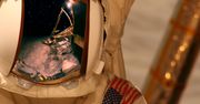 Misja kosmiczna Apollo 11. Przeżyjmy to jeszcze raz dzięki NASA