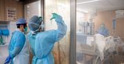 Koronawirus może się reaktywować u wyleczonych pacjentów. Ostrzegają eksperci z Korei
