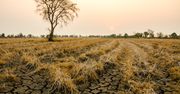 Oficjalne stanowisko PAN. To człowiek jest odpowiedziany za zmiany klimatyczne