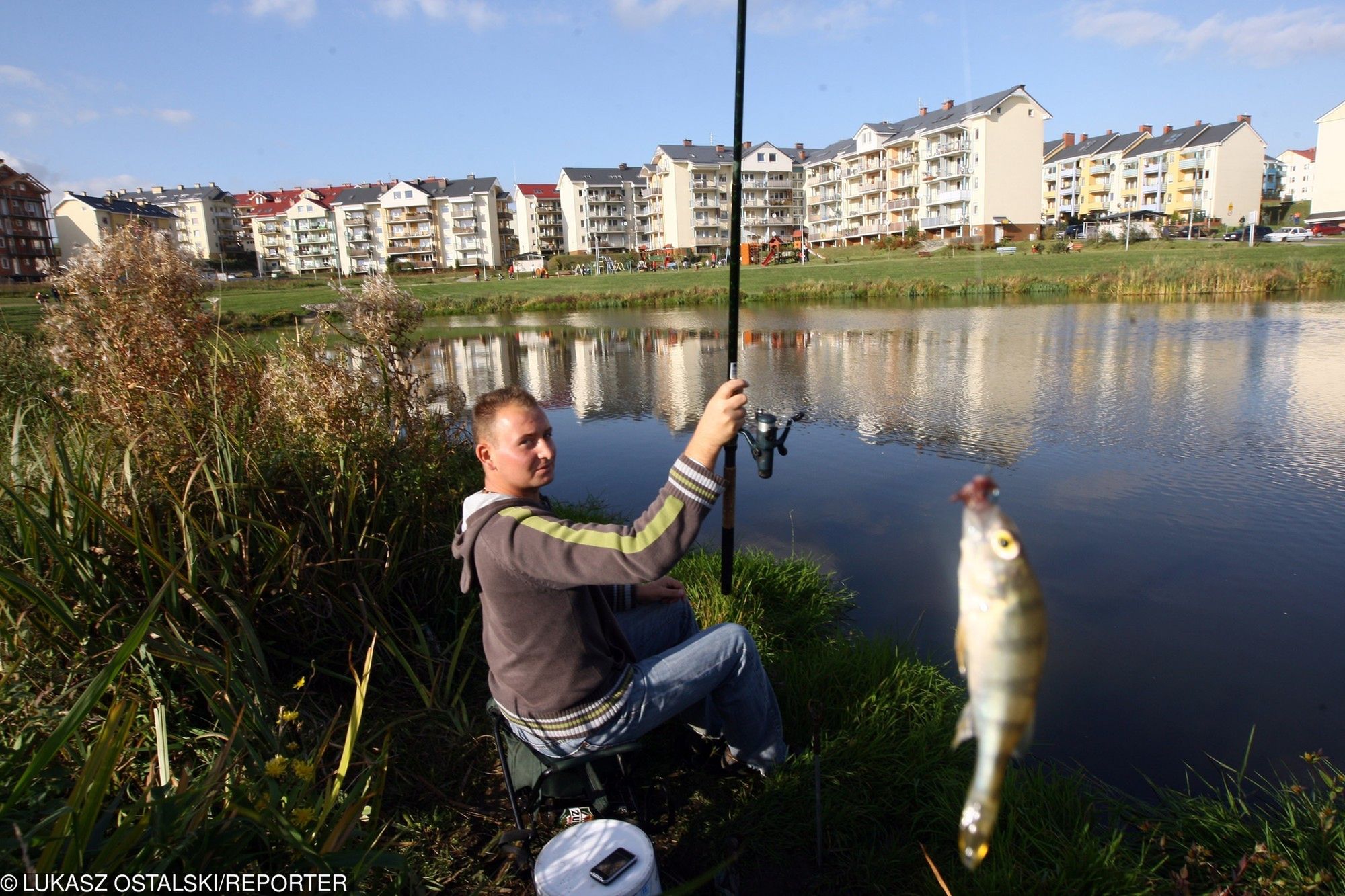 Ryby czują podobnie do innych ssaków. 