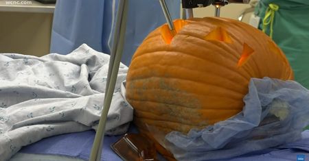 Lekarze przygotowują dynie na Halloween z pomocą najnowocześniejszych robotów [Wideo]